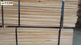 中木商网 一站式获取木材产品、价格、厂家与行业资讯