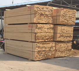 建筑木材优选专家 森发木材供应商的品质与服务解析