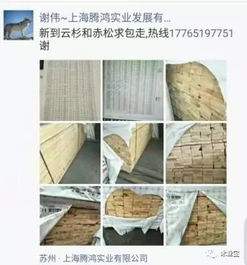 找原木、选板材，精品木材销售信息一览